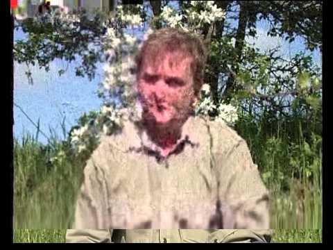 Видео: Поляна смерти в районе ст. Шапсугской