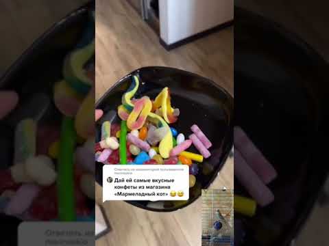 Видео: Парень и чихуахуа (часть 2)#рек #рекомендации #хочуврек