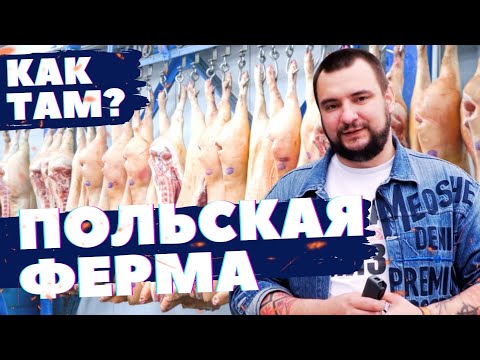 Видео: КАК ТАМ? // Польская семейная ферма // Возможно ли такое в Беларуси?