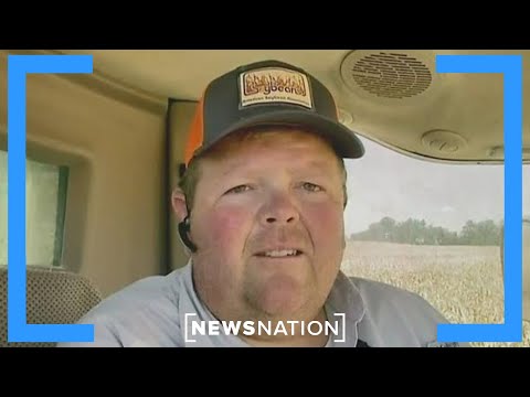 Видео: «Это пожар пятой категории для нашей отрасли»: фермер, выращивающий сою, о борьбе с тарифами | Ne...