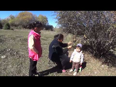 Видео: Осенний денек в горах.