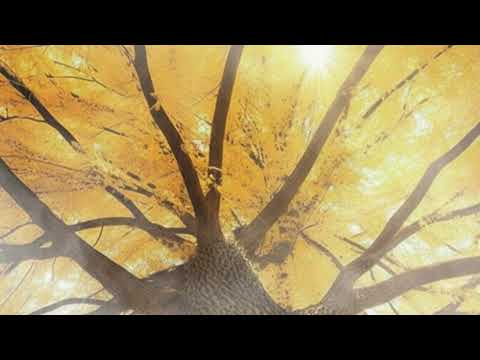 Видео: Мгновение