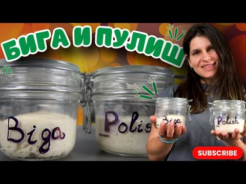 Видео: Опара, Бига и Пулиш- самые важные элементы вкусного тесто. Разбираемся вместе.