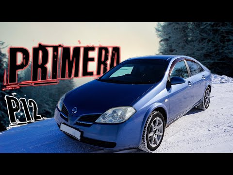 Видео: Последняя примера от Ниссана. Nissan PRIMERA P12