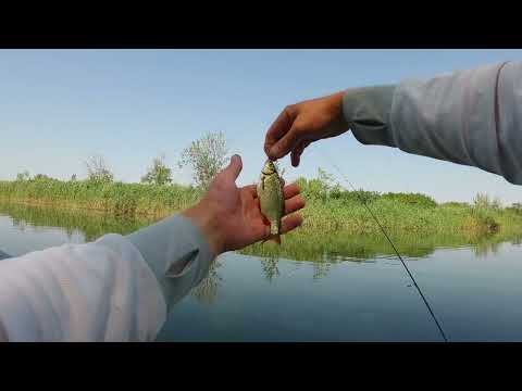 Видео: 2025.05.08 Тузлов. Спиннинг. Мормышка. Лодка - "Неудачные рыбалки. Часть 1"
