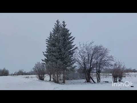 Видео: Село Новоандреевка , Мамлютский р-он 2022 Казахстан / Dorf Novoandreyevka