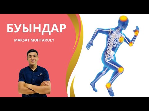 Видео: БУЫНДАР ҚҰРЫЛЫСЫНА ШОЛУ