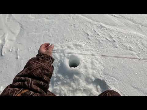 Видео: Рыбачу с тестем на окуня, село Юголок