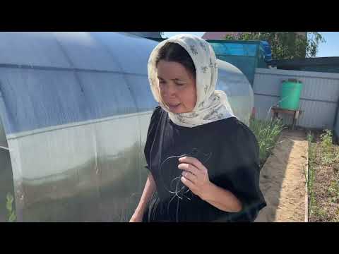 Видео: Природное земледелие плюс ландшафтный дизайн