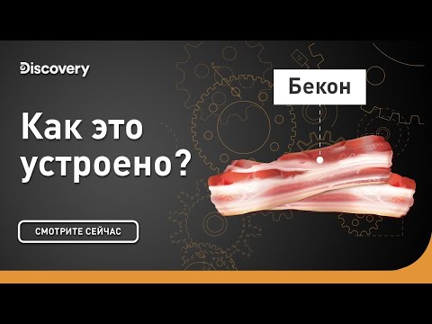 Видео: Бекон | Как это устроено? | Discovery