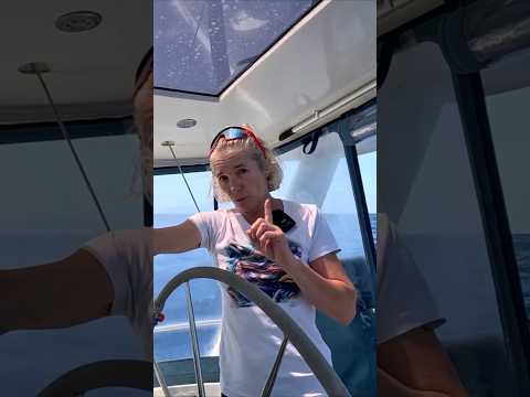 Видео: Офигенная комбинация катамарана и яхты!