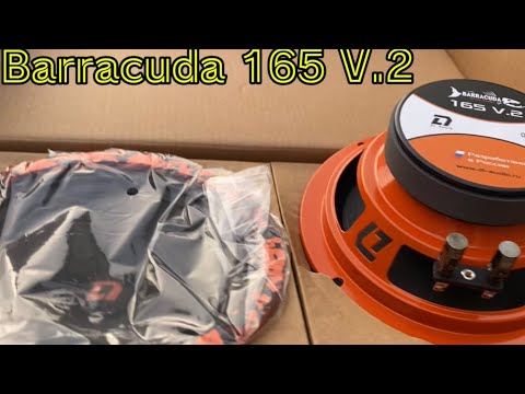 Видео: Обзор DL Audio Barracuda 165 V.2 — мощные и доступные динамики с высоким качеством звука