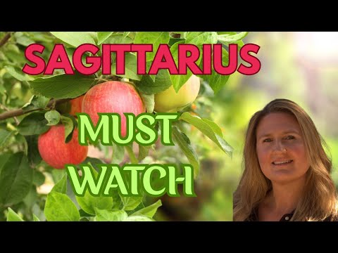 Видео: СТРЕЛЕЦ ♐️ СРОЧНО! Я ДОЛЖЕН РАССКАЗАТЬ ВАМ, ЧТО БУДЕТ!