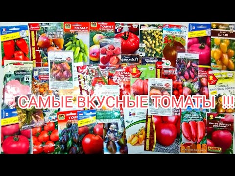Видео: ЭТИ ТОМАТЫ ДОЛЖНЫ БЫТЬ У КАЖДОГО ОГОРОДНИКА! САМЫЕ ВКУСНЫЕ СОРТА И ГИБРИДЫ!