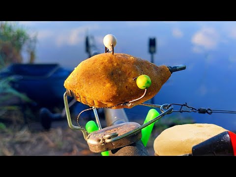 Видео: Тесто на ТОЛСТОЛОБА вместо планктона. РАБОЧИЙ РЕЦЕПТ