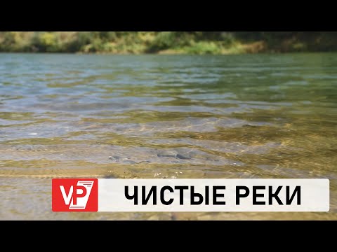 Видео: В ВОЛГОГРАДСКОЙ ОБЛАСТИ РАСЧИЩЕН ПЕРВЫЙ УЧАСТОК РУСЛА МЕДВЕДИЦЫ