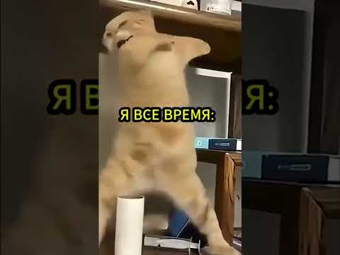 Видео: УСПОКОИТЕЛЬНЫЕ ТАНЦЫ!!!😀😀😀😂😂😂🤣🤣🤣😃😃😃😄😄😄😅😅😅😆😆😆😜😜😜😡😡😡🤬🤬🤬😈😈😈👿👿👿👹👹👹