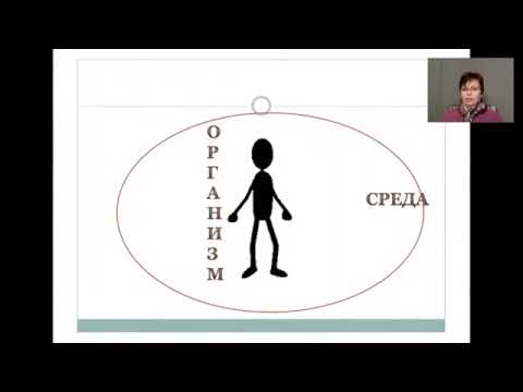 Видео: 5. Фигура, фон. Граница, контакт