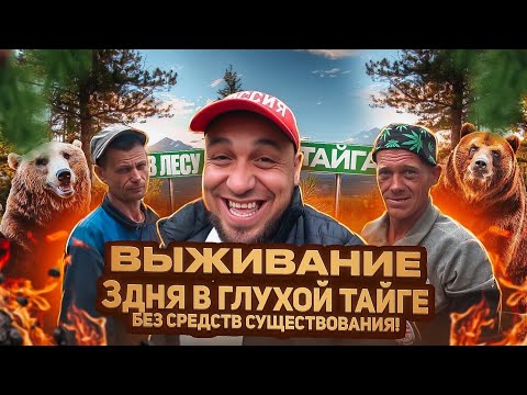 Видео: Выживание 3 дня в глухой тайге без средств существования.