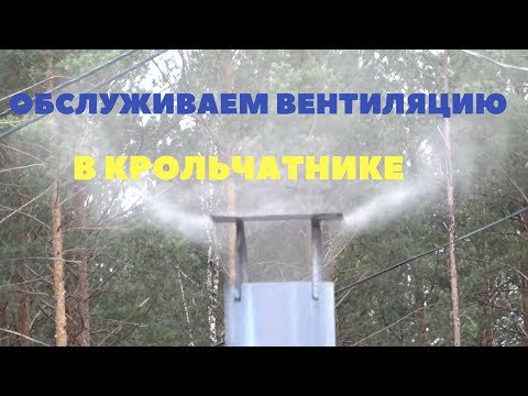Видео: Обслуживаем  вентилятор в крольчатнике, что мы видим при вскрытии