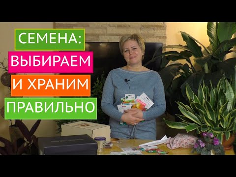 Видео: КАК ПРАВИЛЬНО ВЫБРАТЬ СЕМЕНА И КАК ИХ ПОТОМ ХРАНИТЬ!!!