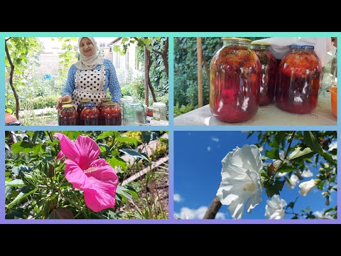 Видео: ‼️Компот  из Сливы по Старинному ‼️