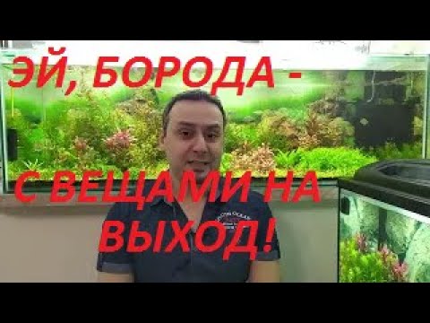 Видео: Аквариумы без бороды.  Вторая точка над Ё. Комментарии и ответы.