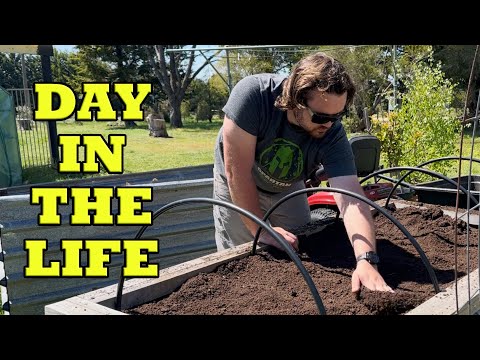 Видео: День из жизни на маленькой австралийской ферме