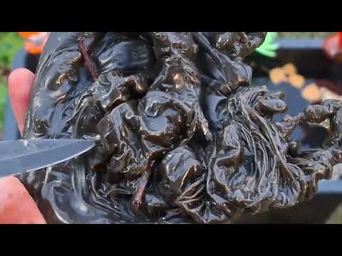 Видео: Чистка от порч положенных в гроб покойнику,  прив'язки мертвых, порч на линии судьбы и эмоции!☠️💣👌