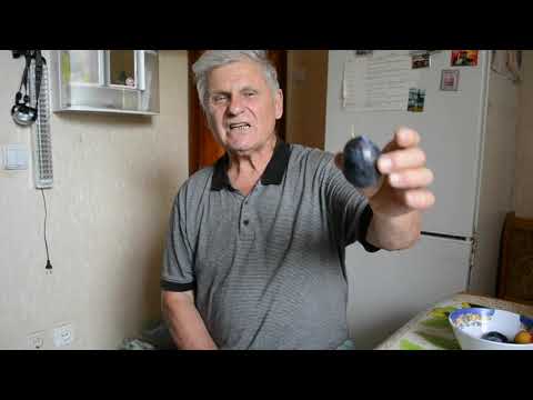 Видео: Лечение Геморроя в Домашних условиях - Легко и Вкусно