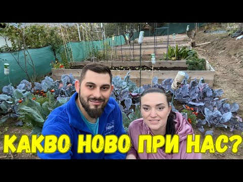 Видео: ЖИВОТ НА СЕЛО: Нашата есенна градина стъпка по стъпка!