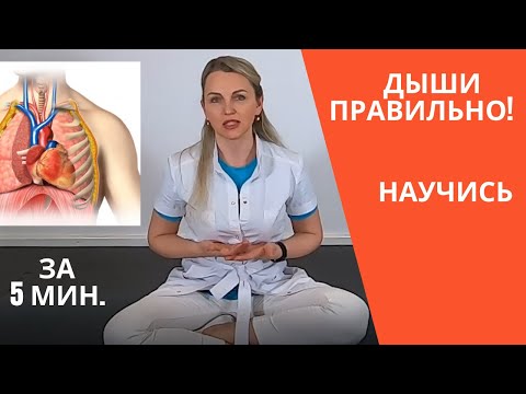 Видео: Научись дышать правильно! Диафрагмальное дыхание. Осознанное дыхание. Пранаяма для начинающих.