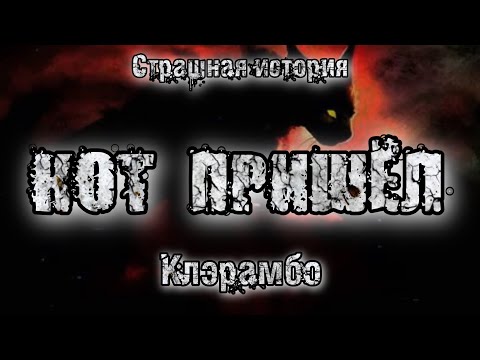 Видео: История на ночь. КОТ ПРИШЁЛ. Клэрамбо. Ужасы