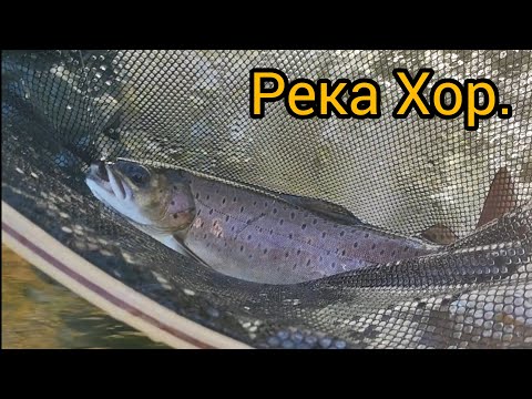 Видео: Река Хор. Рыбалка на реке Хор. Ленок. Хариус.