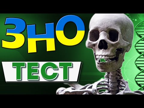 Видео: ЗНО ТЕСТ - біологія | Зможеш пройти !?