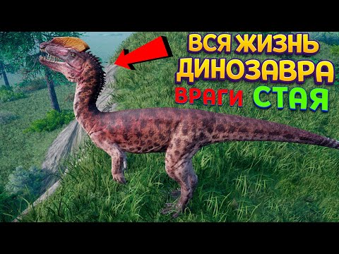 Видео: ВСЯ ЖИЗНЬ ДИНОЗАВРА - СТАЯ, ВРАГИ, ЕДА, ОХОТА ( The isle )