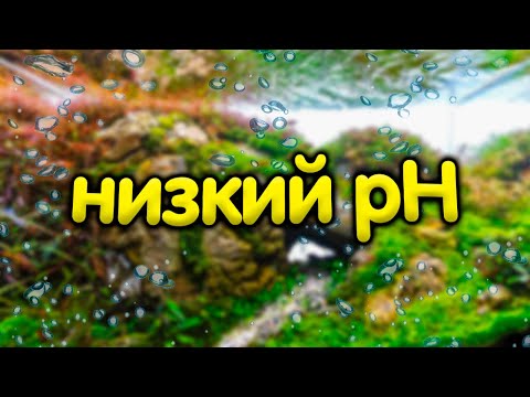 Видео: Низкий pH при низкой карбонатной жесткости. Обвал pH.