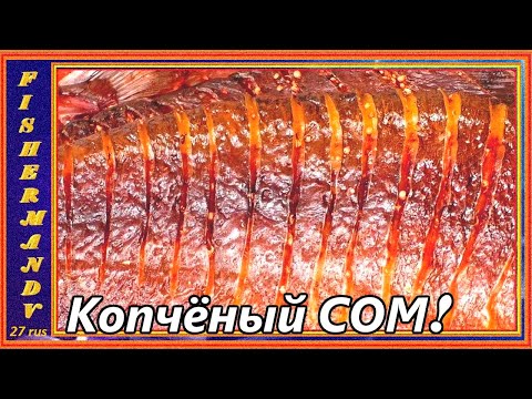 Видео: Копчёный сом, холодное копчение, сом вкуснее осетрины! рецепты из рыбы от fisherman dv.27rus,