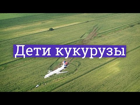 Видео: Посадка А321 в кукурузе. Что могут скрывать пилоты-герои? (English subs)