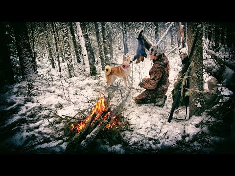 Видео: Фильм про охоту в тайге Соболь 3, фартовый сезон 7 серия