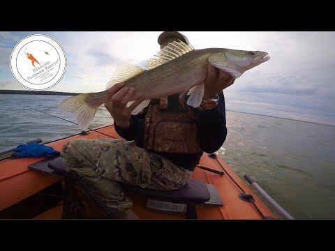 Видео: Рыбалка на Обском водохранилище — Судак очень порадовал! 🐟