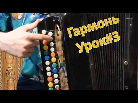 Видео: Уникальная разметка кнопок гармони! 7 нот и 7 основных музыкальных цепочек. Секрет удобства. Урок#3