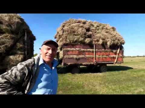 Видео: Вывозка сена началась 2 рейса в день с 2мя арбами.