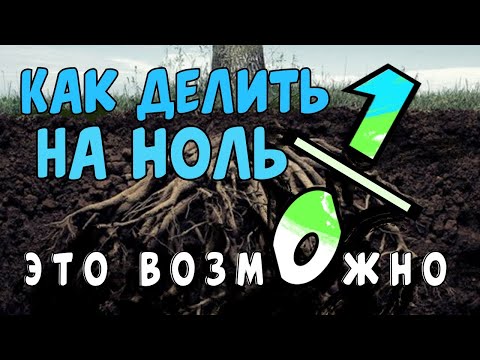 Видео: КОГДА ДЕЛИТЬ НА НОЛЬ МОЖНО, А КОГДА - НЕЛЬЗЯ?  | Научпоп