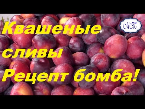 Видео: квашеные сливы