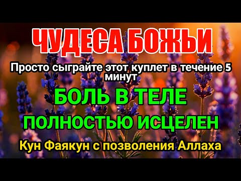 Видео: Божье чудо❗️Через 5 минут боль в вашем теле полностью исчезнет