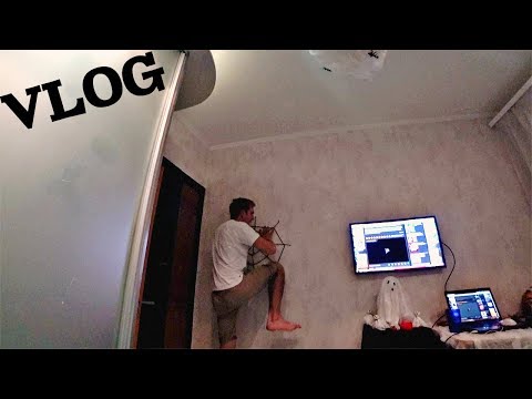 Видео: УЖЕ МЕЧТАЕМ О ПИТОМЦАХ :D  /VLOG/