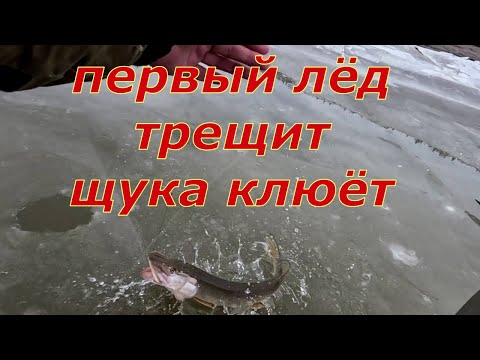 Видео: Первый лёд трещит , а щука клюёт и душа поёт.