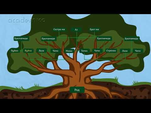 Видео: Род и родословно дърво - Околен свят 2 клас | academico