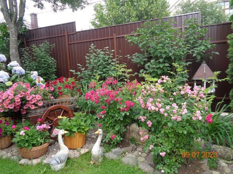 Видео: ОБЗОР САДА В ИЮЛЕ- ВХОД- часть 2-я \2023\